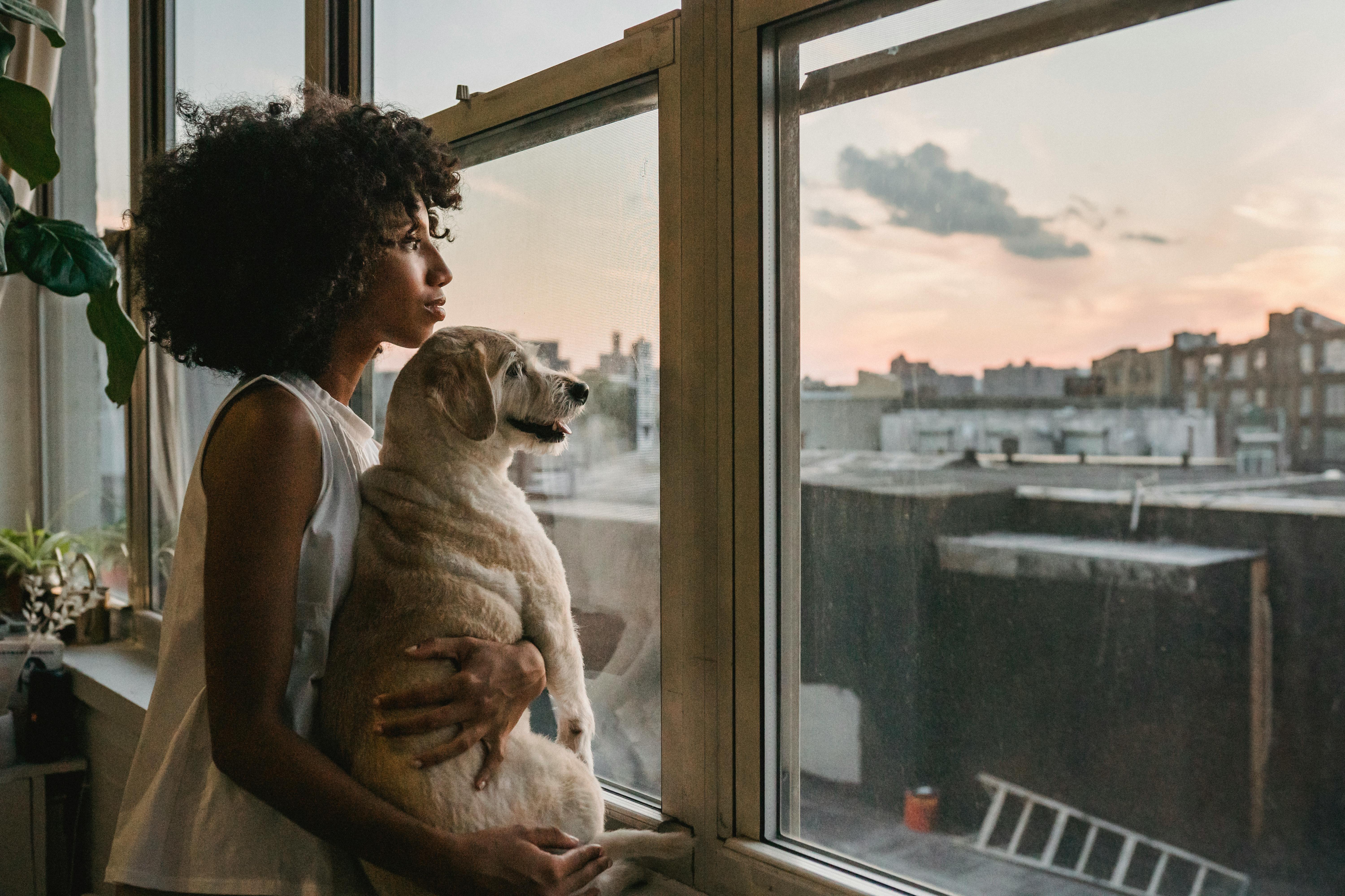 Best Dog-Friendly Apartment Living Tips
